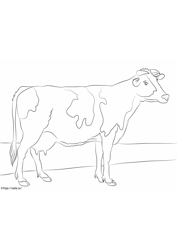 Holsteinin lehmä värityskuva