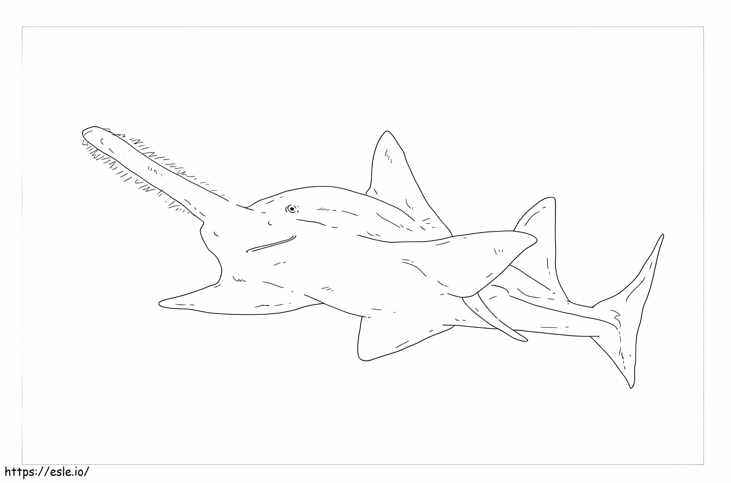 Tiburon Sierra coloring page
