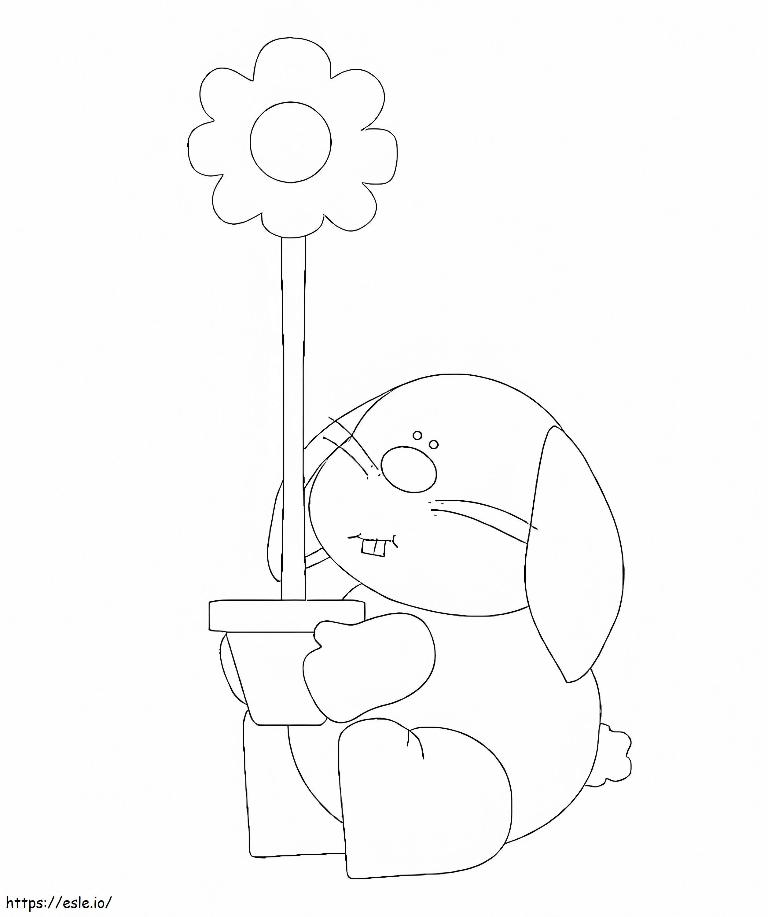 Kelinci Dengan Pot Bunga Gambar Mewarnai