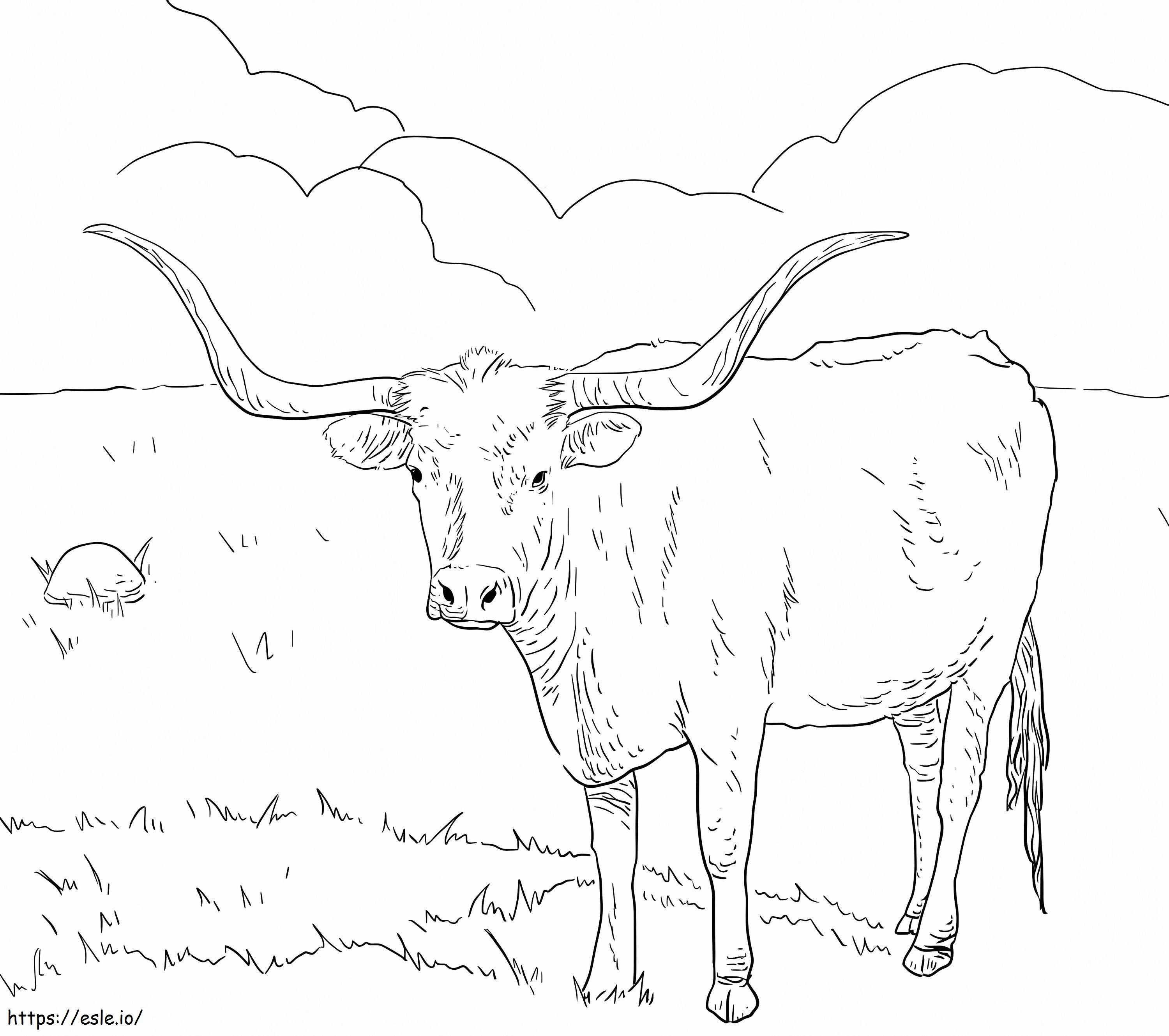 Coloriage Vache Longhorn du Texas à imprimer dessin