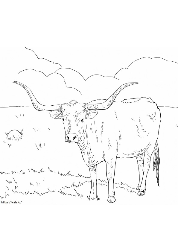 Texas Longhorn-koe kleurplaat