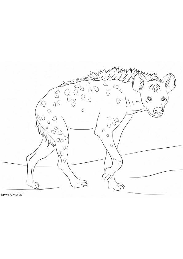 Hiena pătată 1 de colorat