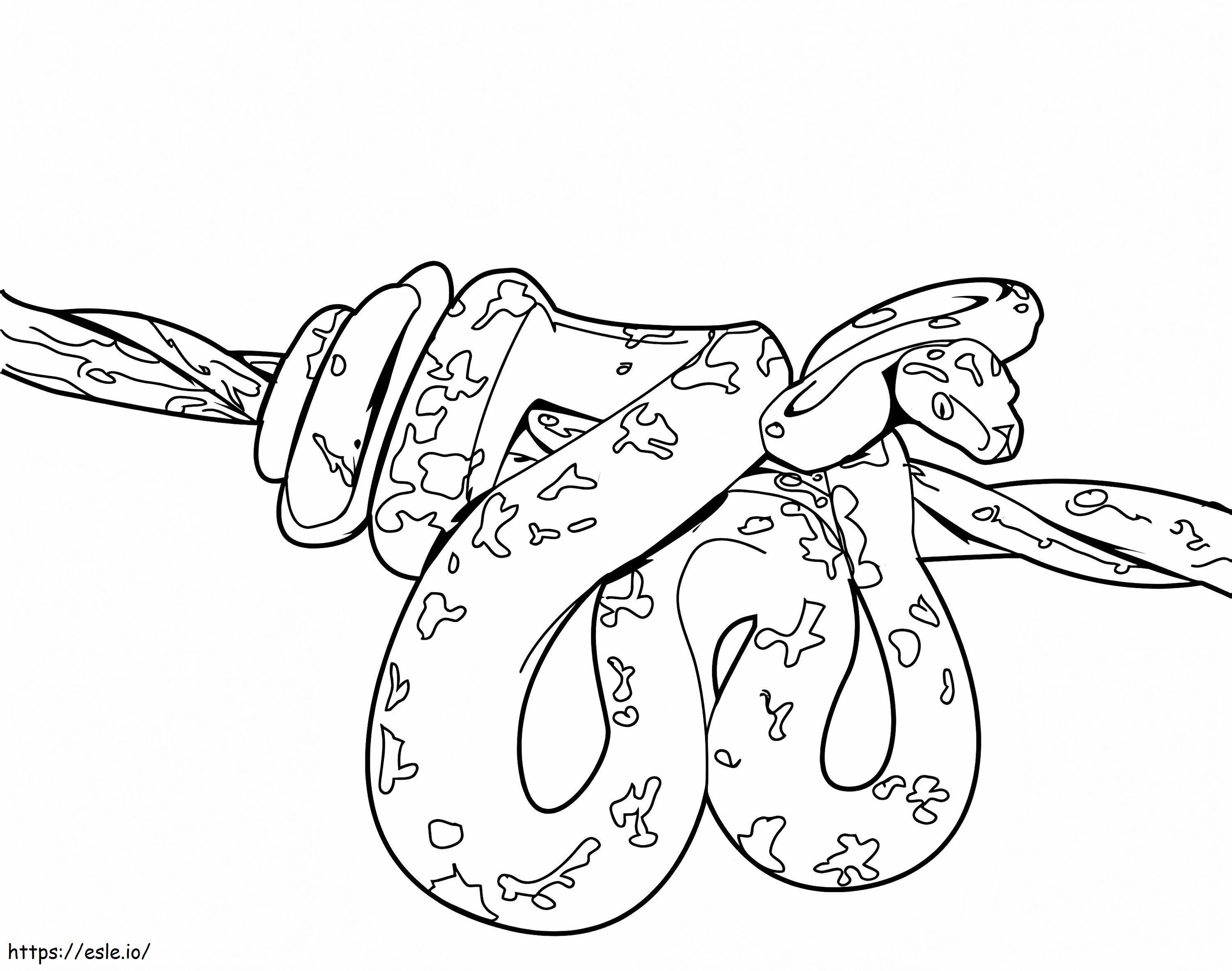 Python On A Tree Branch coloring page