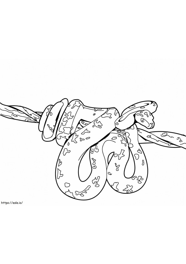 Python On A Tree Branch coloring page