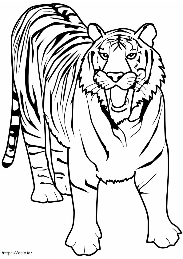 Coloriage Gros Tigre à imprimer dessin