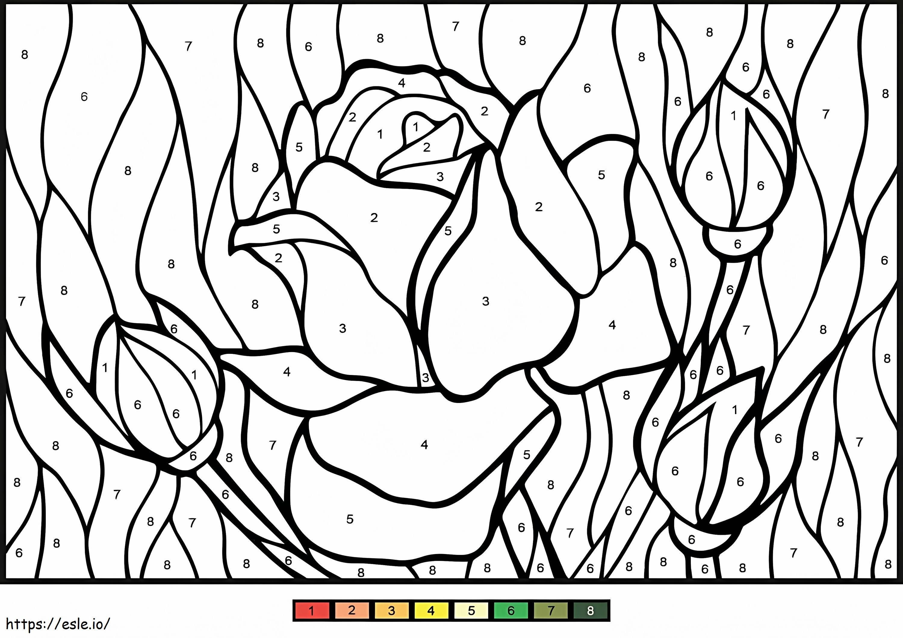 Rose Color By Number coloring page