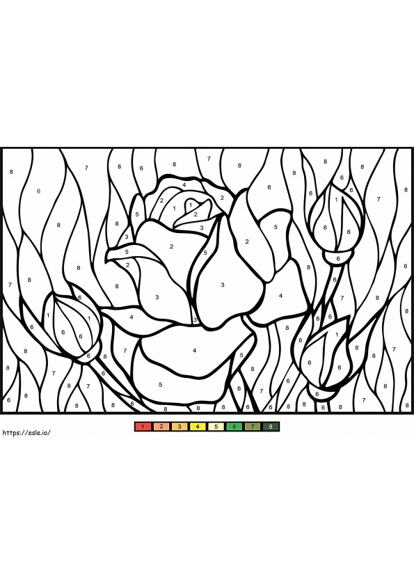 Culoare trandafir după număr de colorat