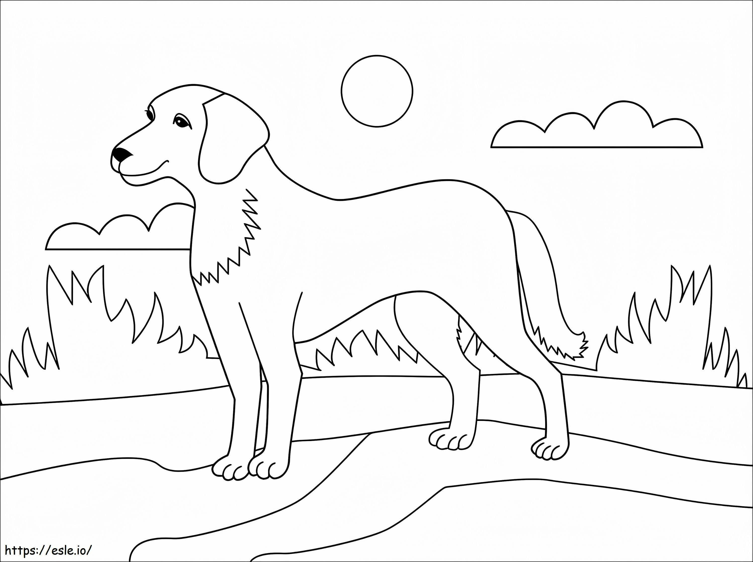Cachorro 1 para colorir