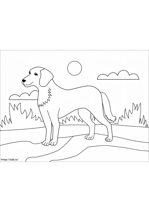 Dog 1 coloring page