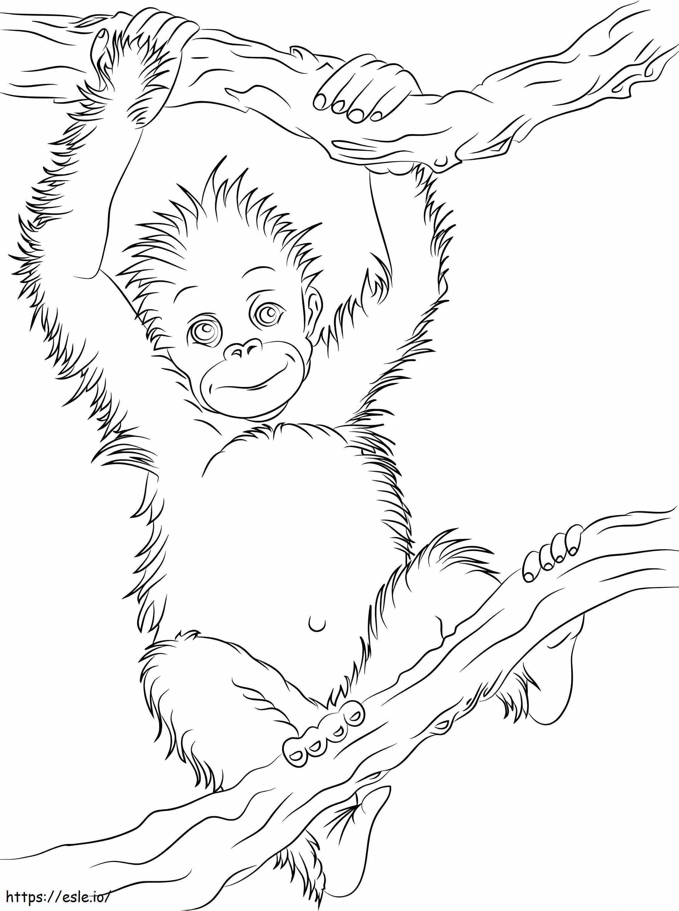Kleine orang-oetan die een tak beklimt kleurplaat kleurplaat