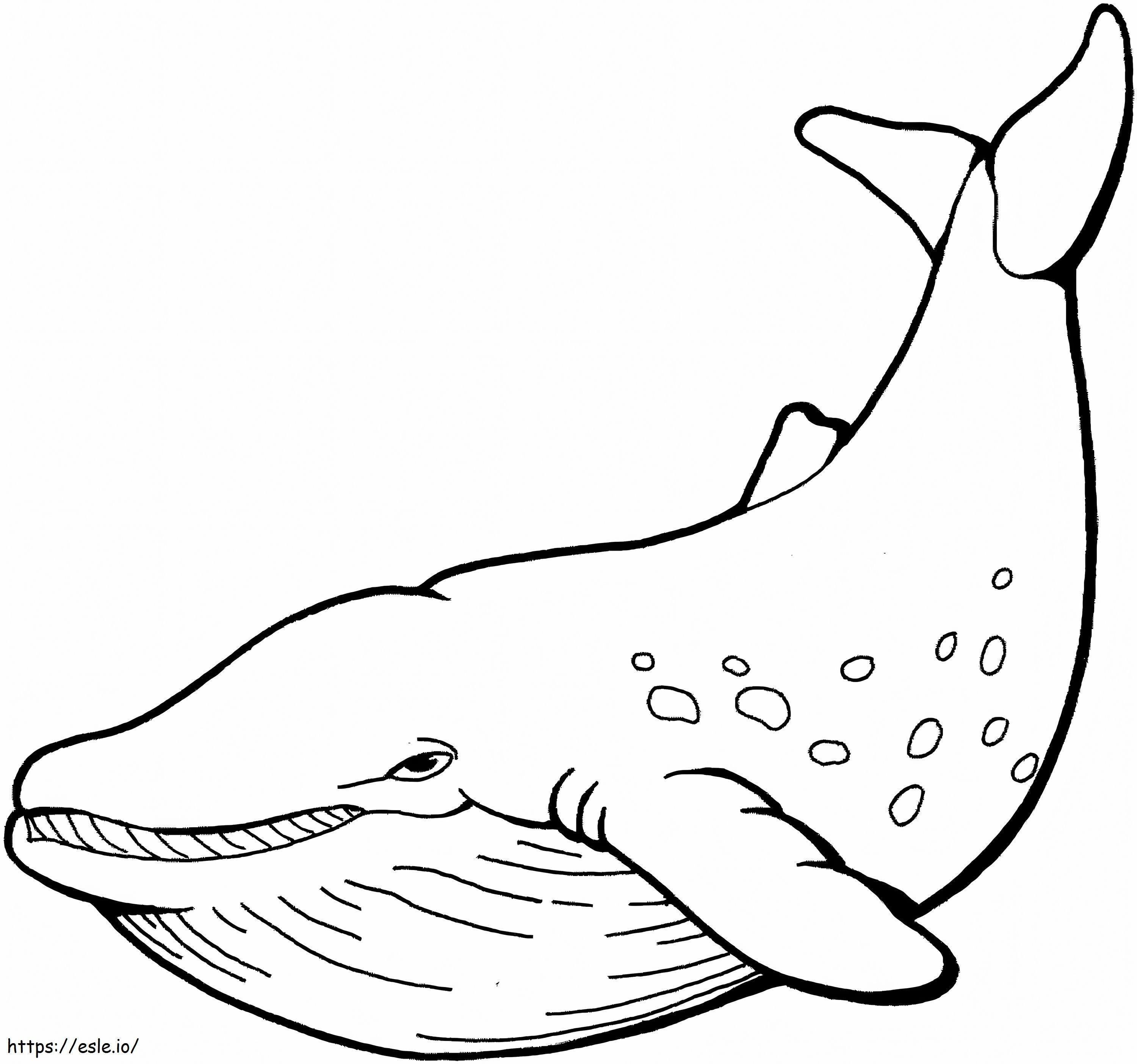 Simple Whale coloring page