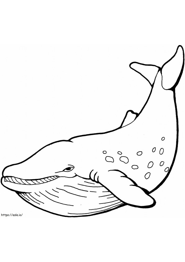 Coloriage Baleine simple à imprimer dessin