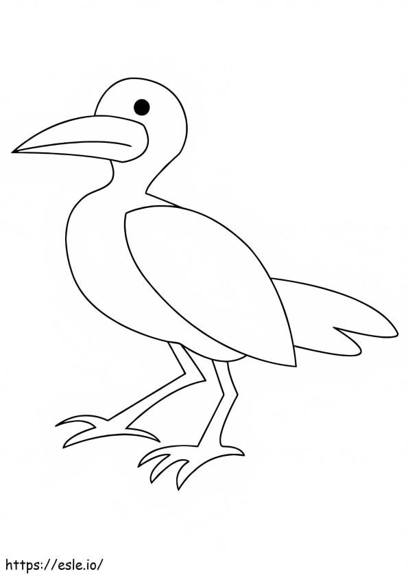 Beautiful Seagull