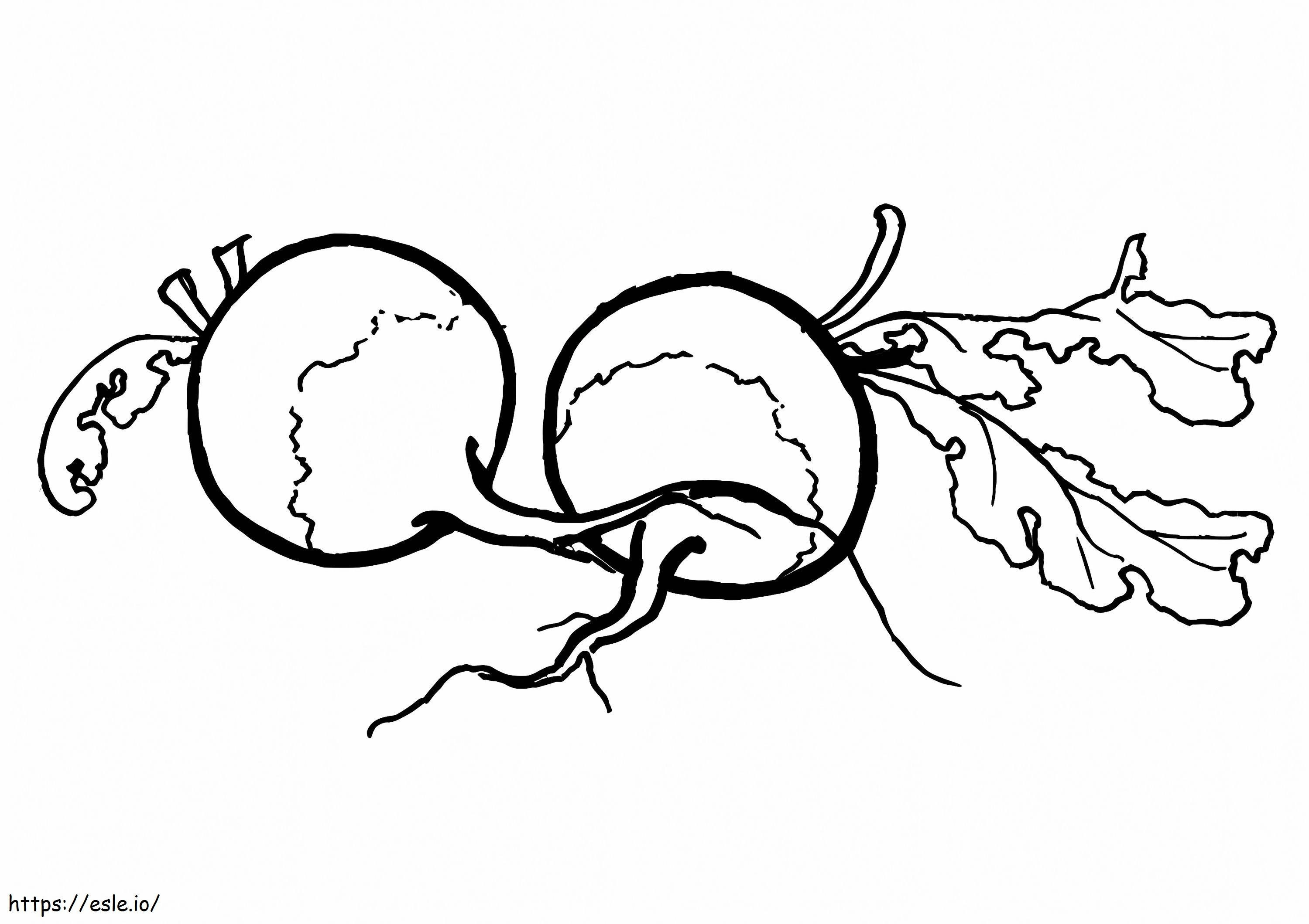Two Simple Radish coloring page