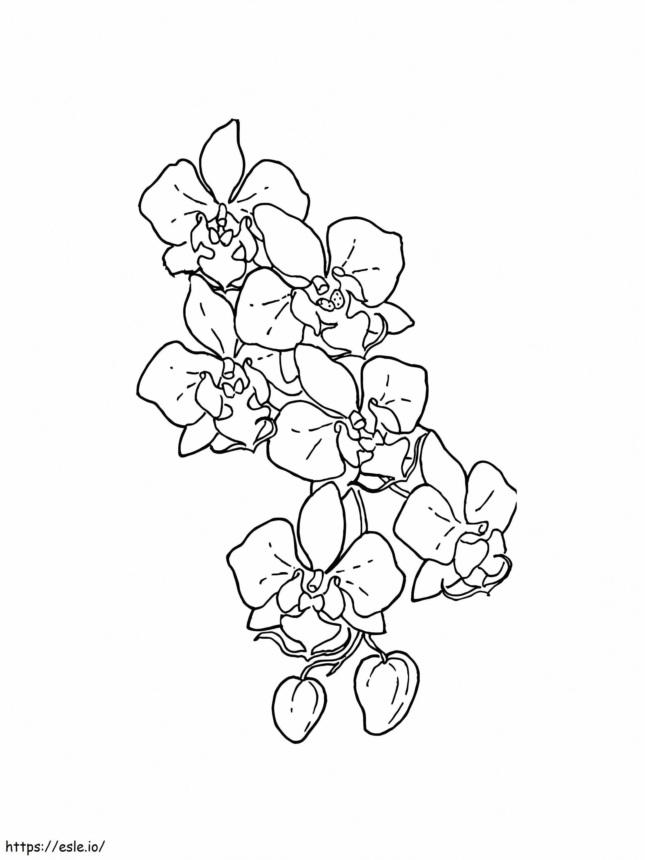 Orchid To Color coloring page