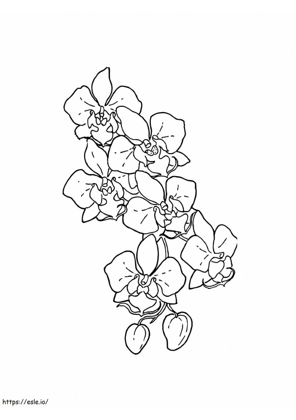 Coloriage Orchidée à colorier à imprimer dessin