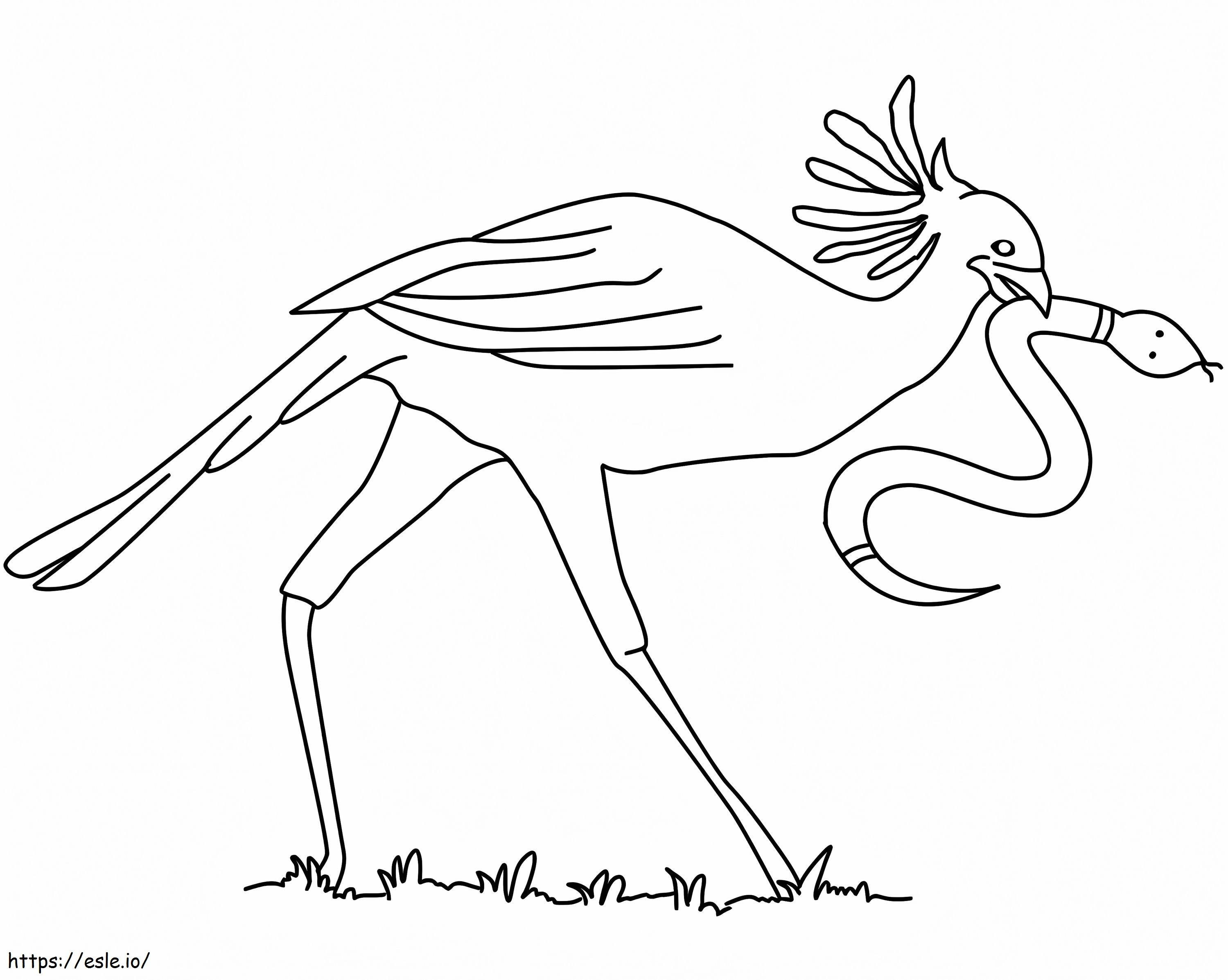 Secretary Bird And Snake coloring page