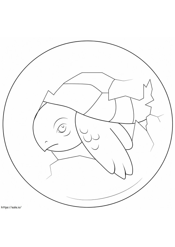 Coloriage Un bébé tortue éclos d'un œuf à imprimer dessin