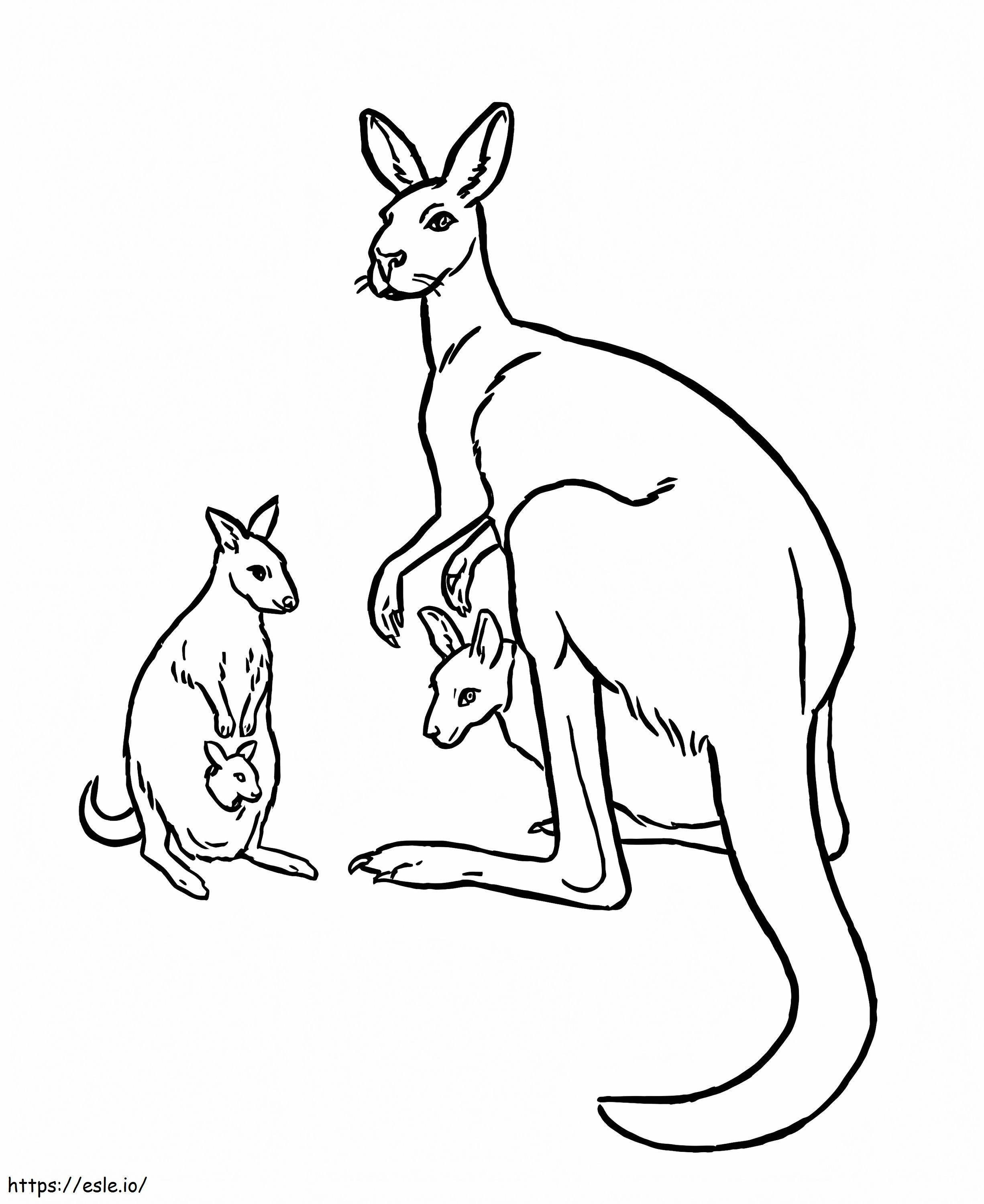 Kanguru ve Arkadaşları boyama