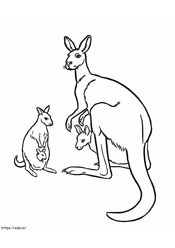 Kanguru Dan Teman Gambar Mewarnai