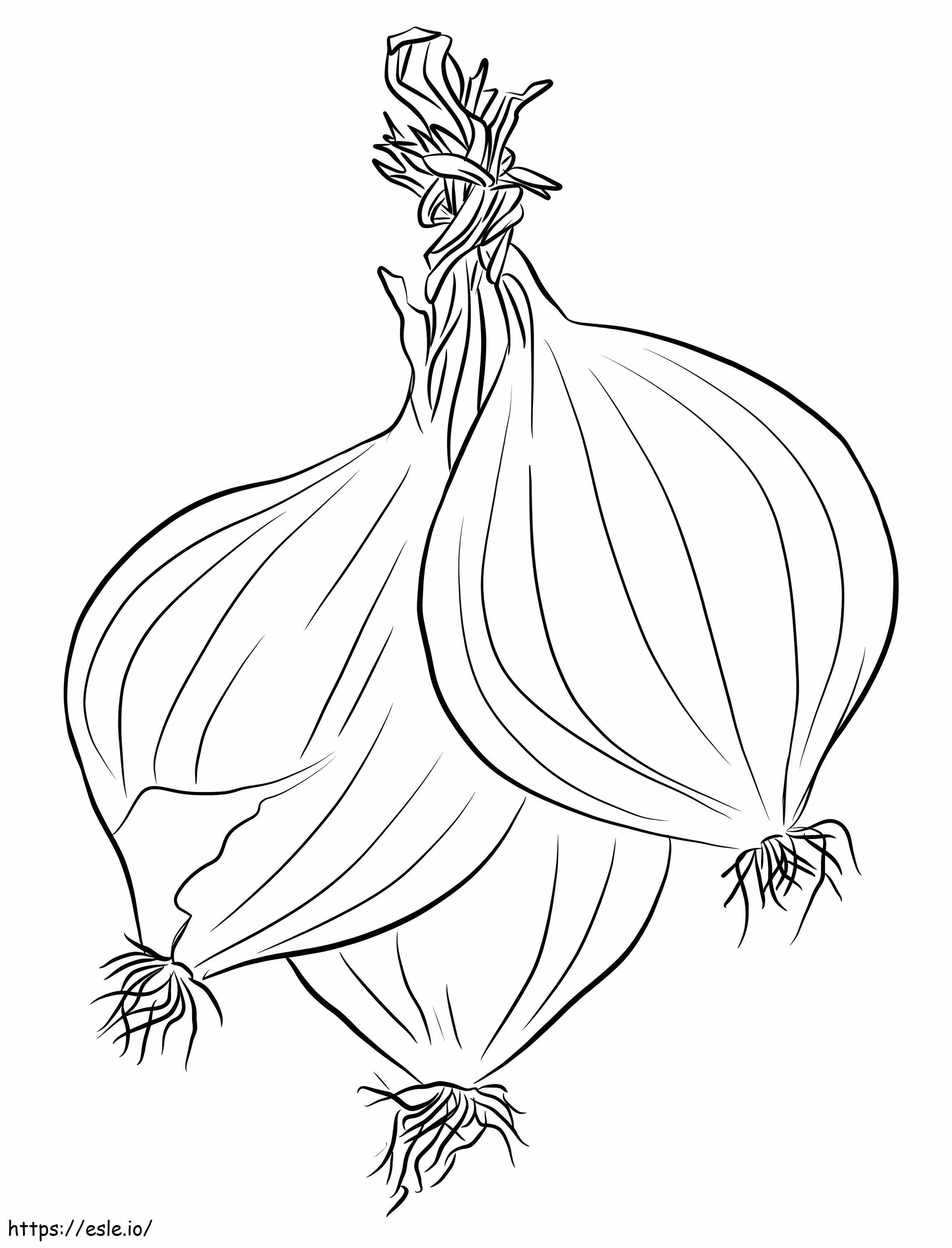 1560240482 Onions A4 coloring page
