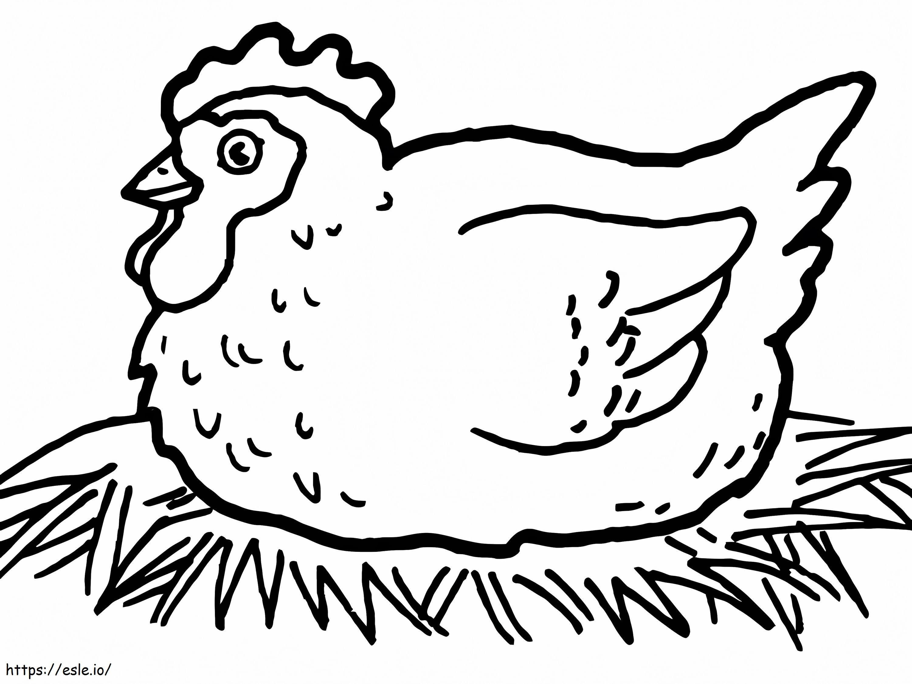 Hen On Nest coloring page