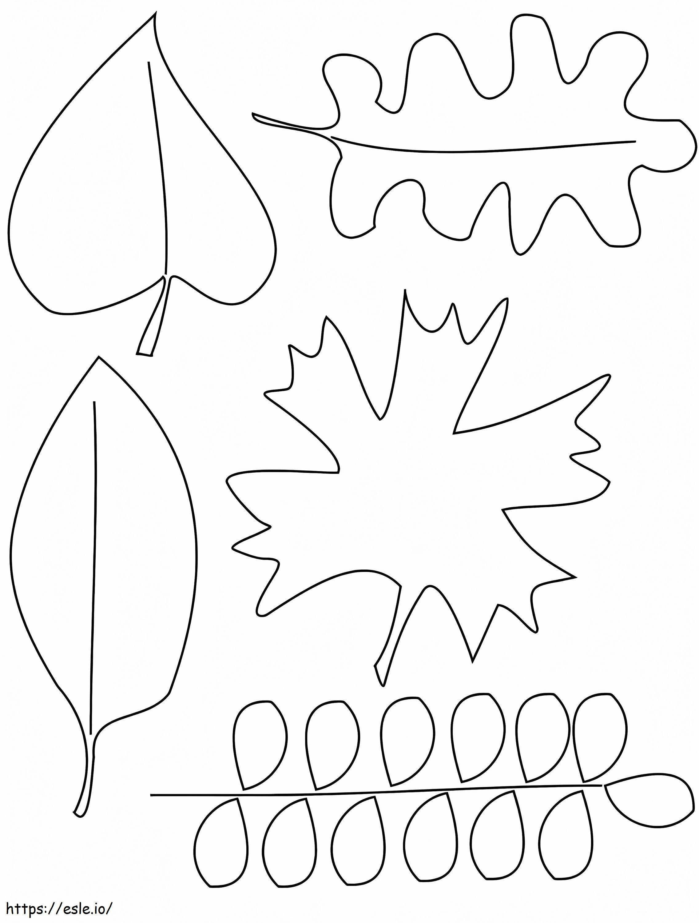 Fall Leaves 6 coloring page