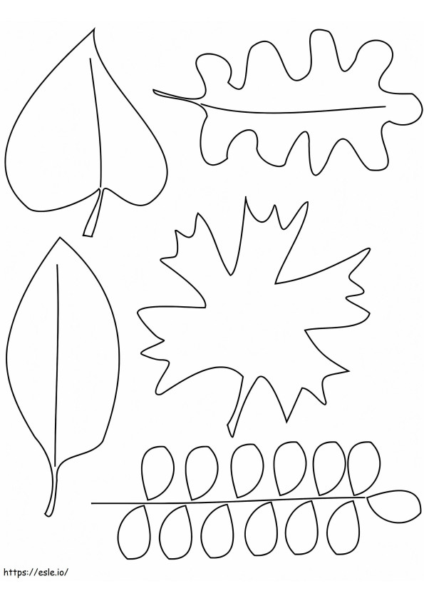 Fall Leaves 6 coloring page