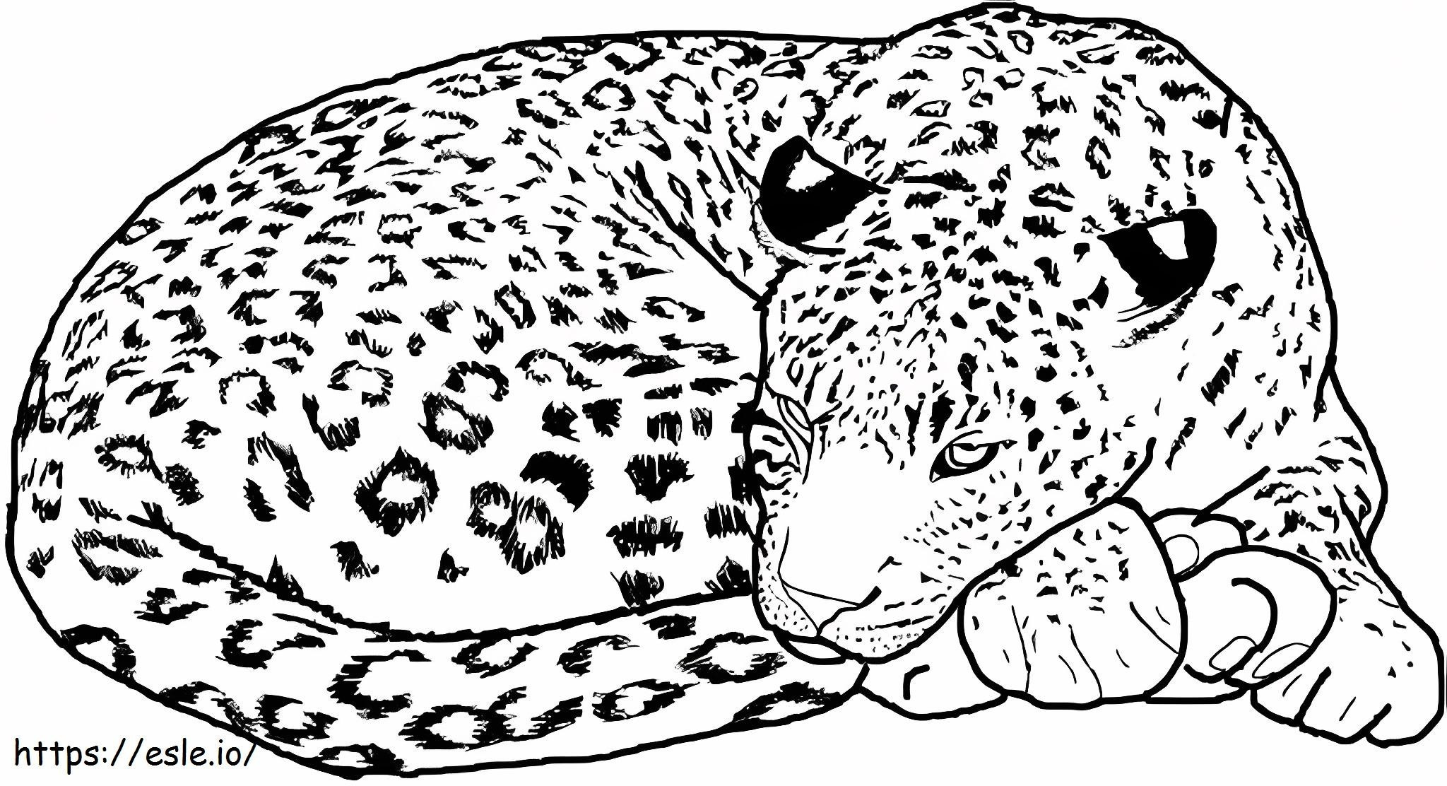 Goede Cheetah kleurplaat kleurplaat