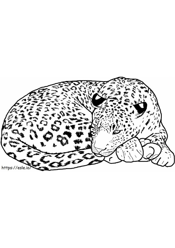Goede Cheetah kleurplaat