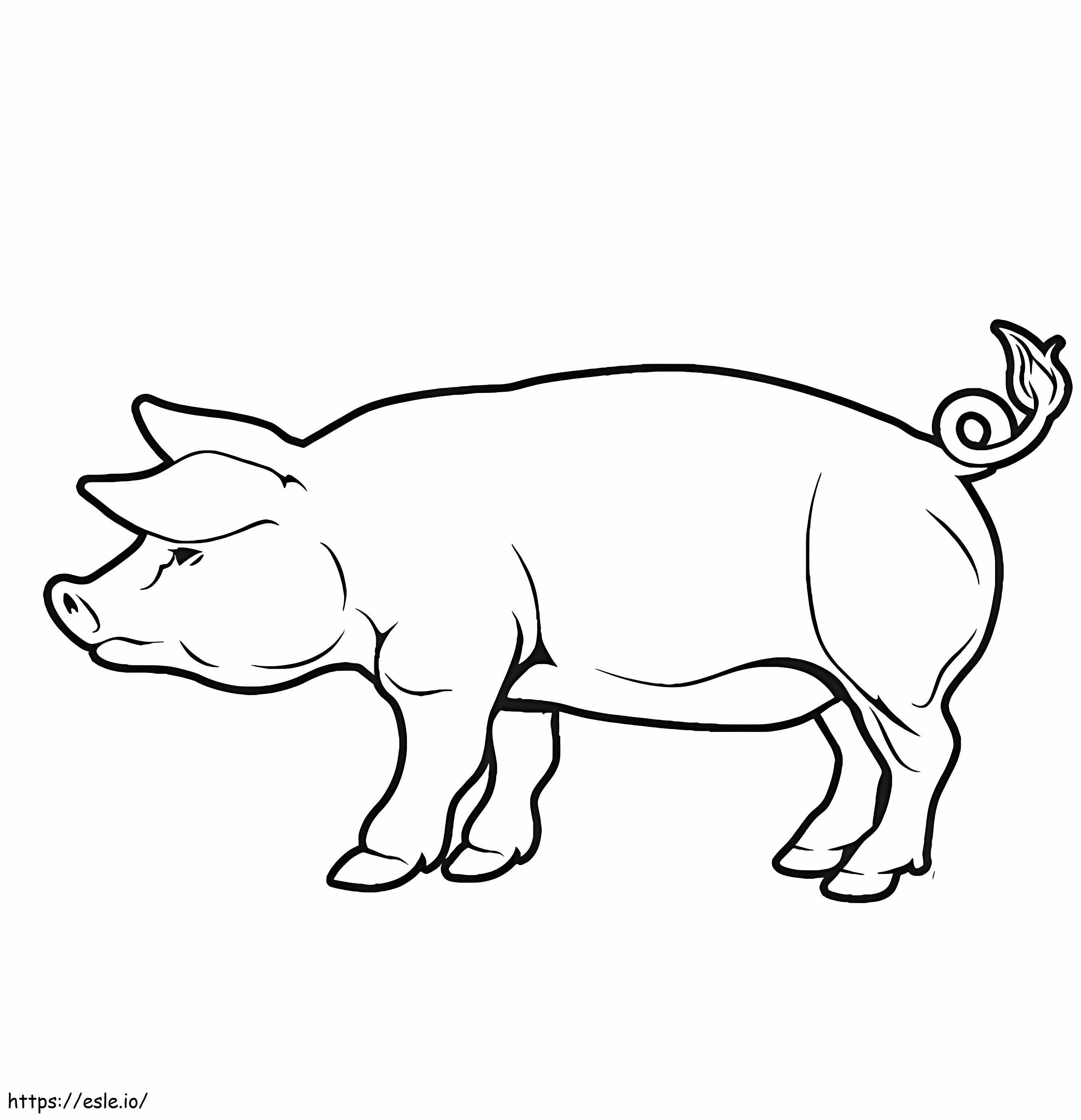 Normal Pig 3 coloring page