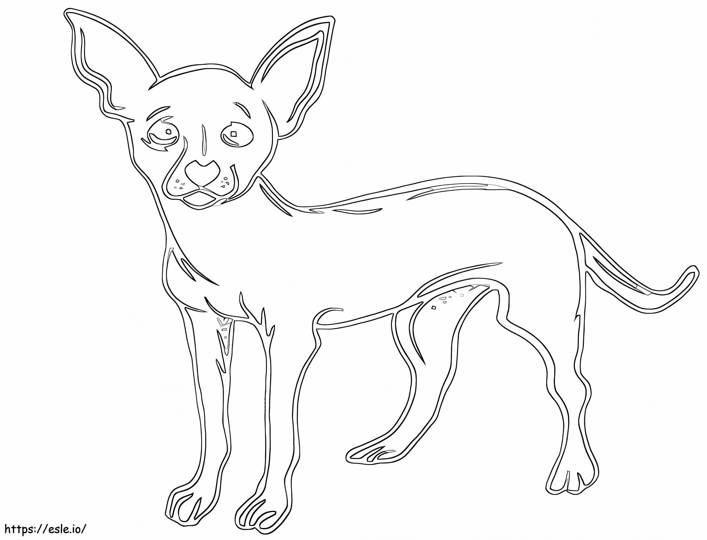 Printable Chihuahua coloring page