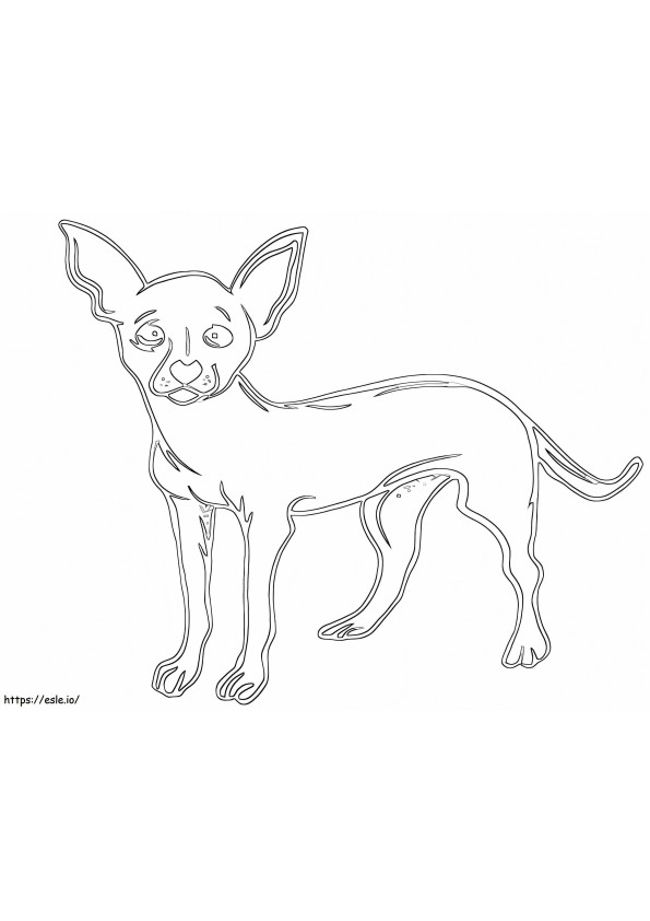 Chihuahua imprimible para colorear