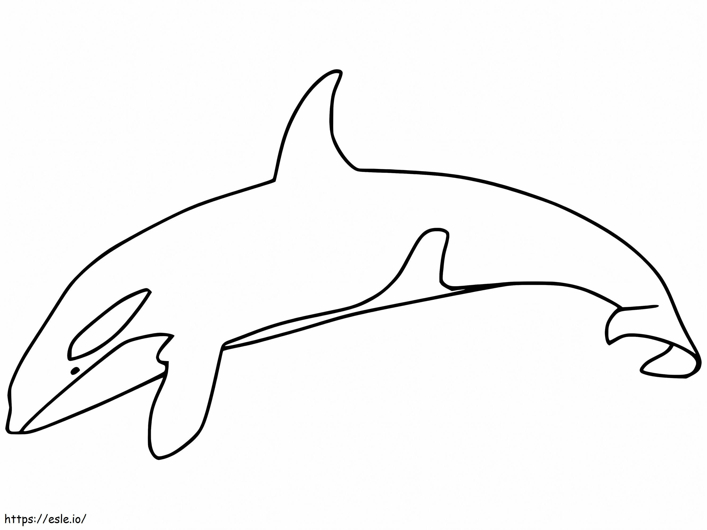 Baleia assassina fácil para colorir