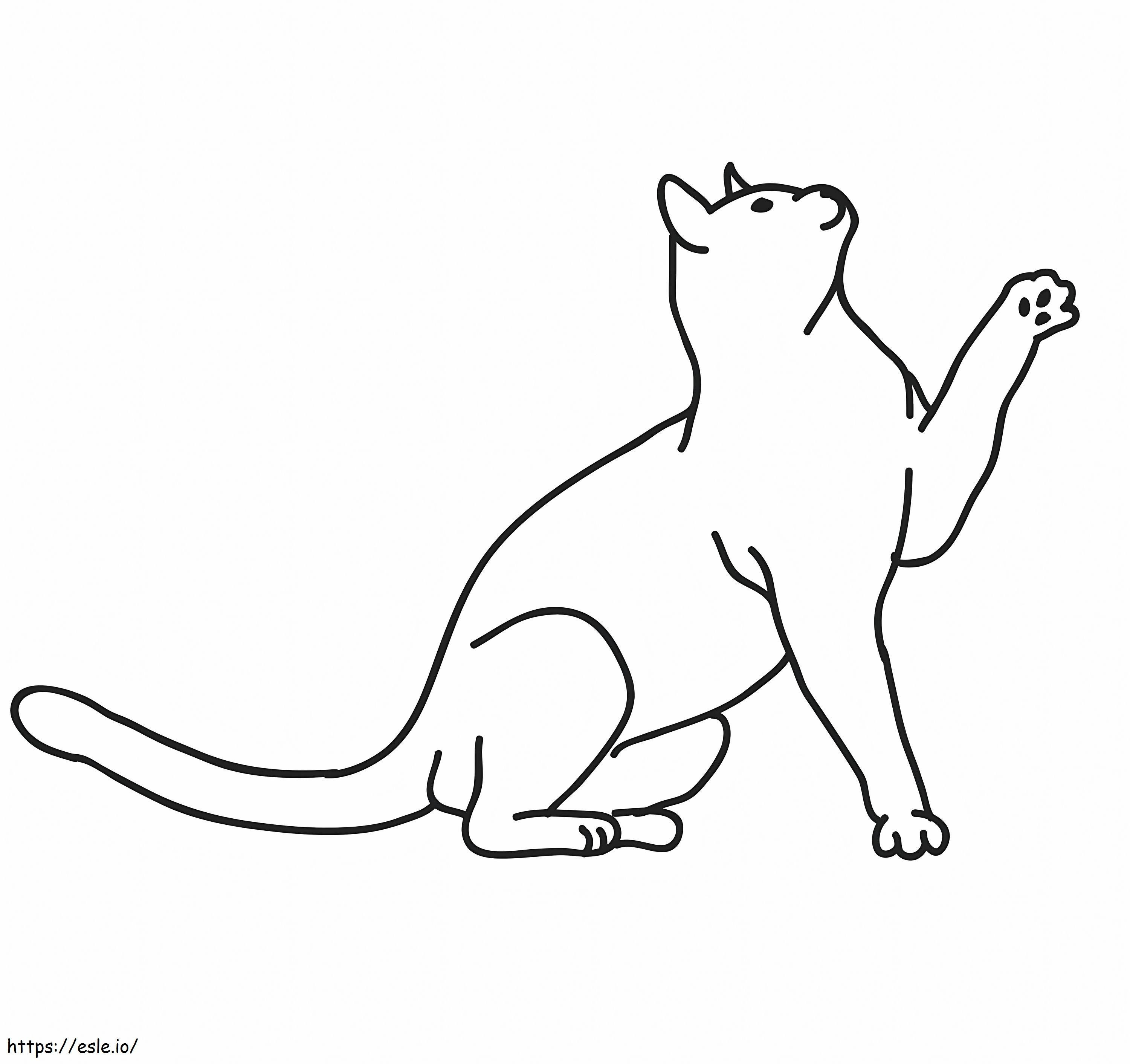 Normál macska kifestő