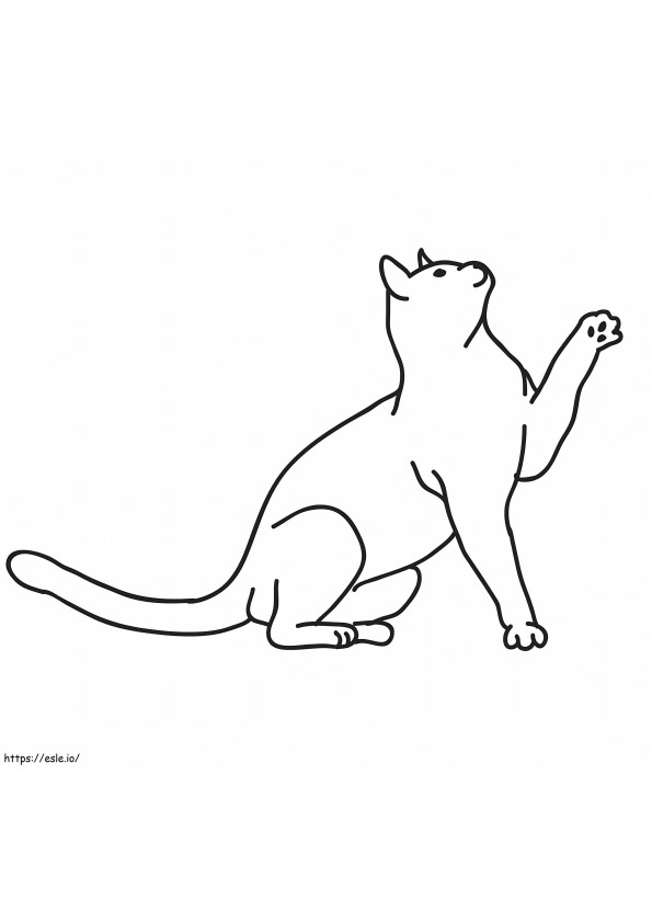 Normál macska kifestő