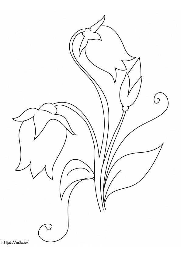 Bellflower Flowers 3