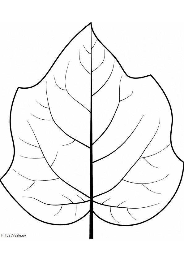 Foxglove Tree Leaf