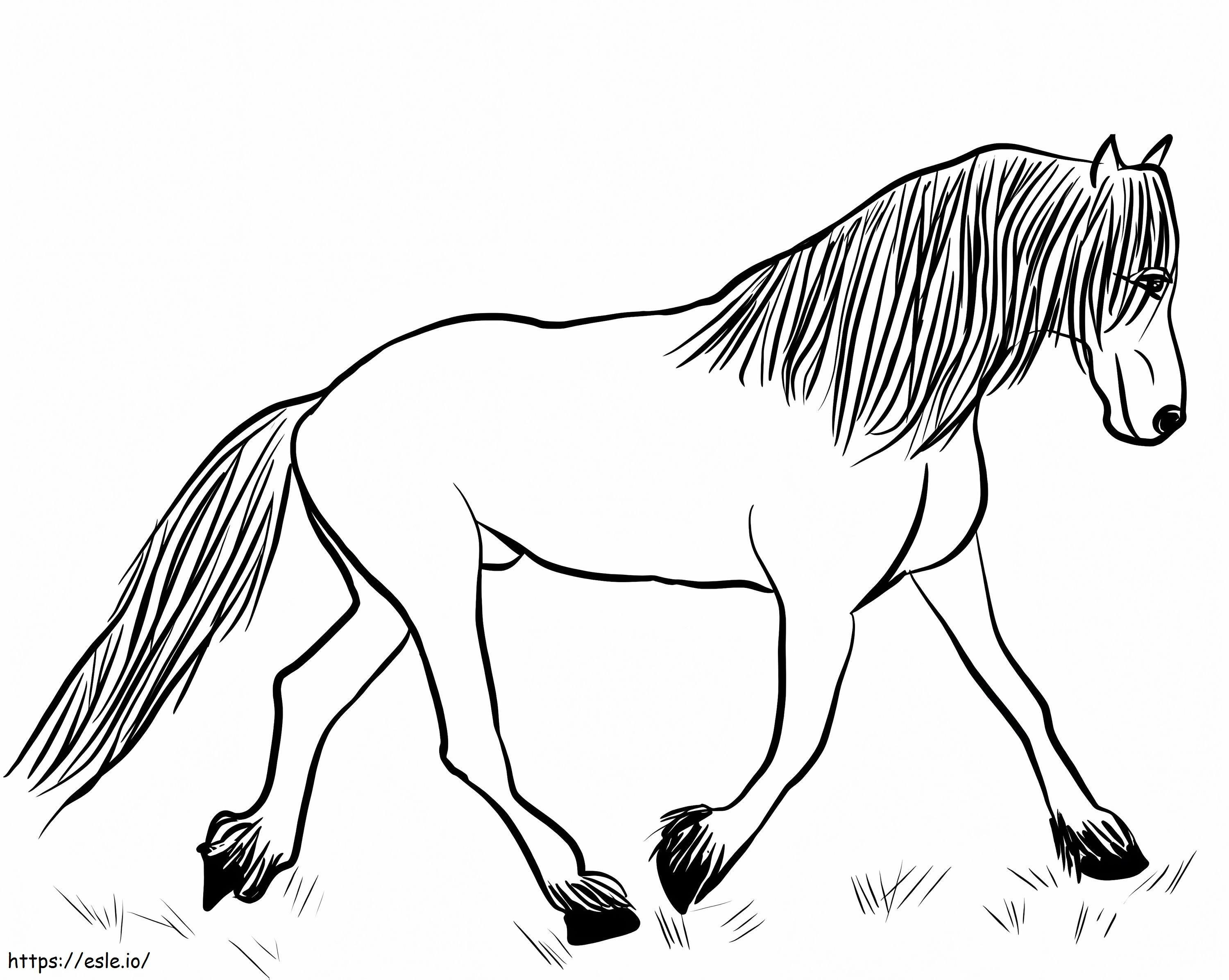 Cavalo Frísio para colorir