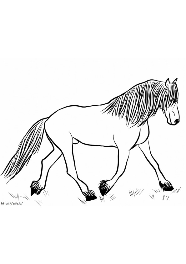Cavalo Frísio para colorir