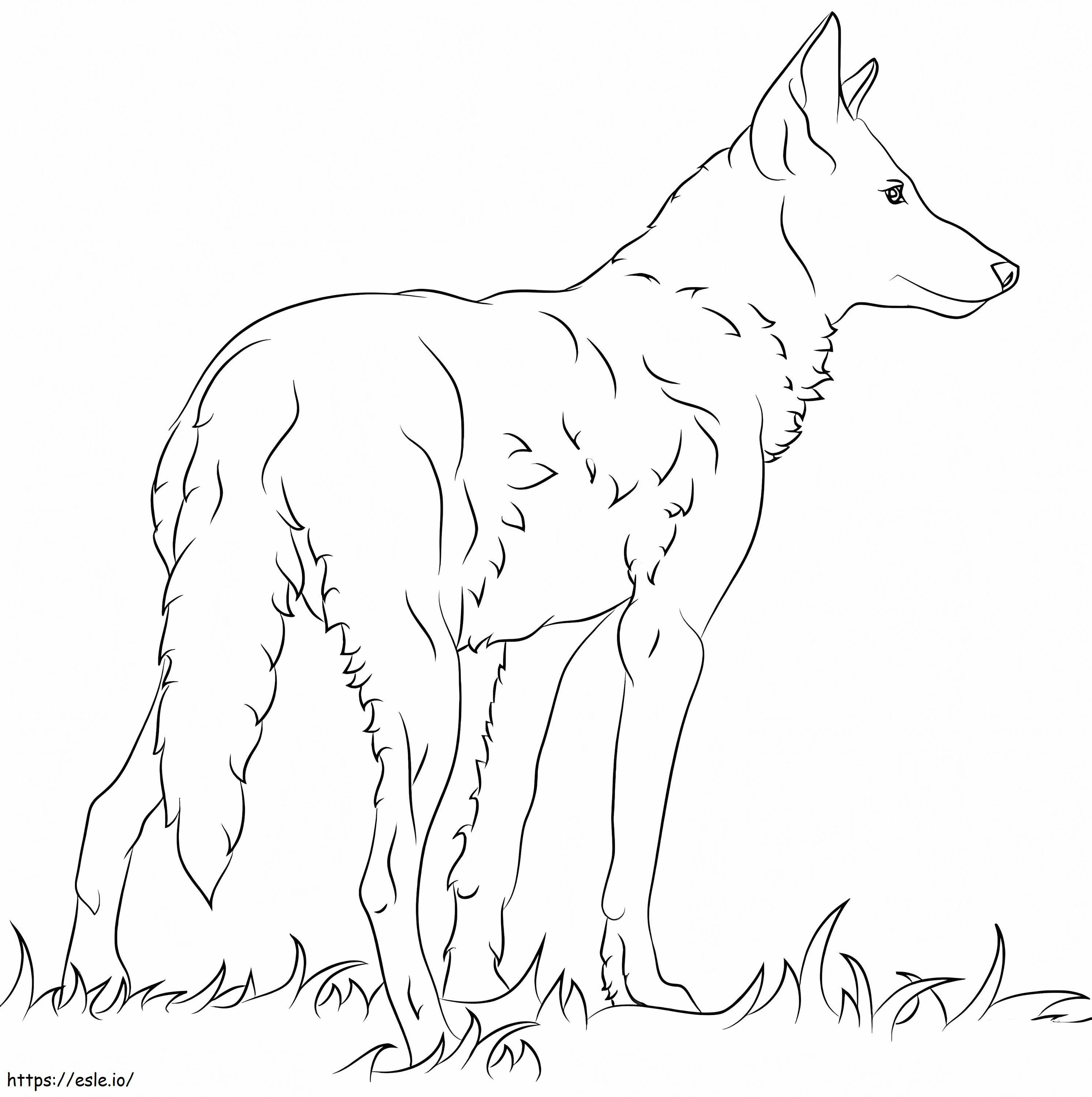 Coloriage Loup sur l'herbe à imprimer dessin