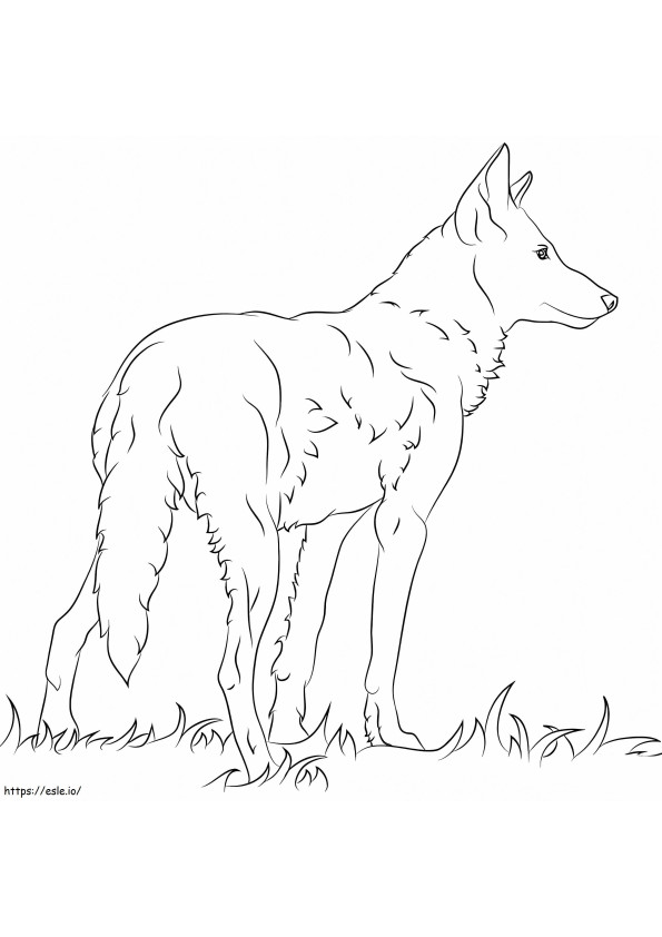 Wolf On Grass coloring page