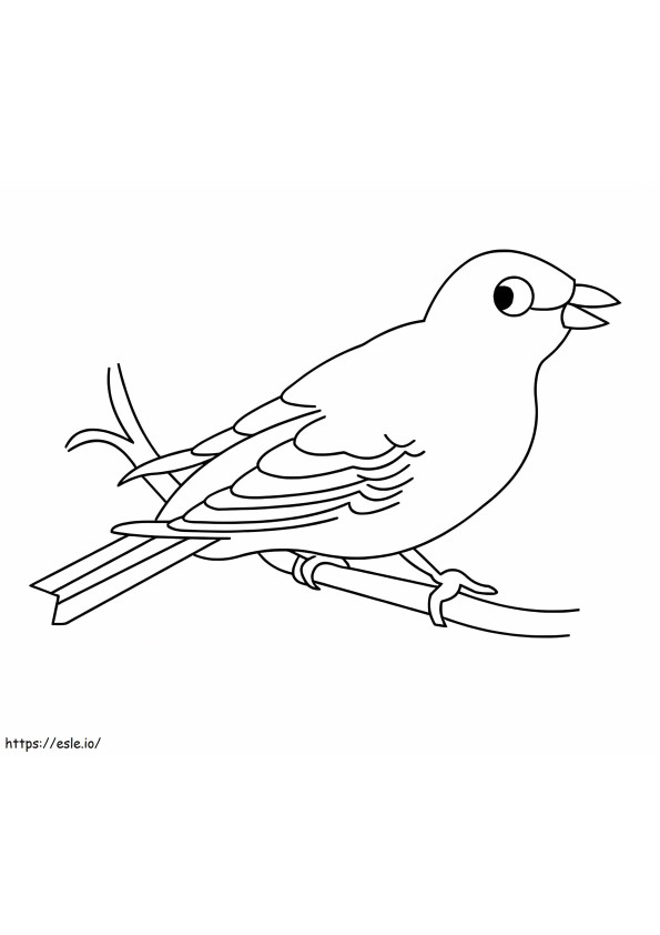Printable Canary coloring page