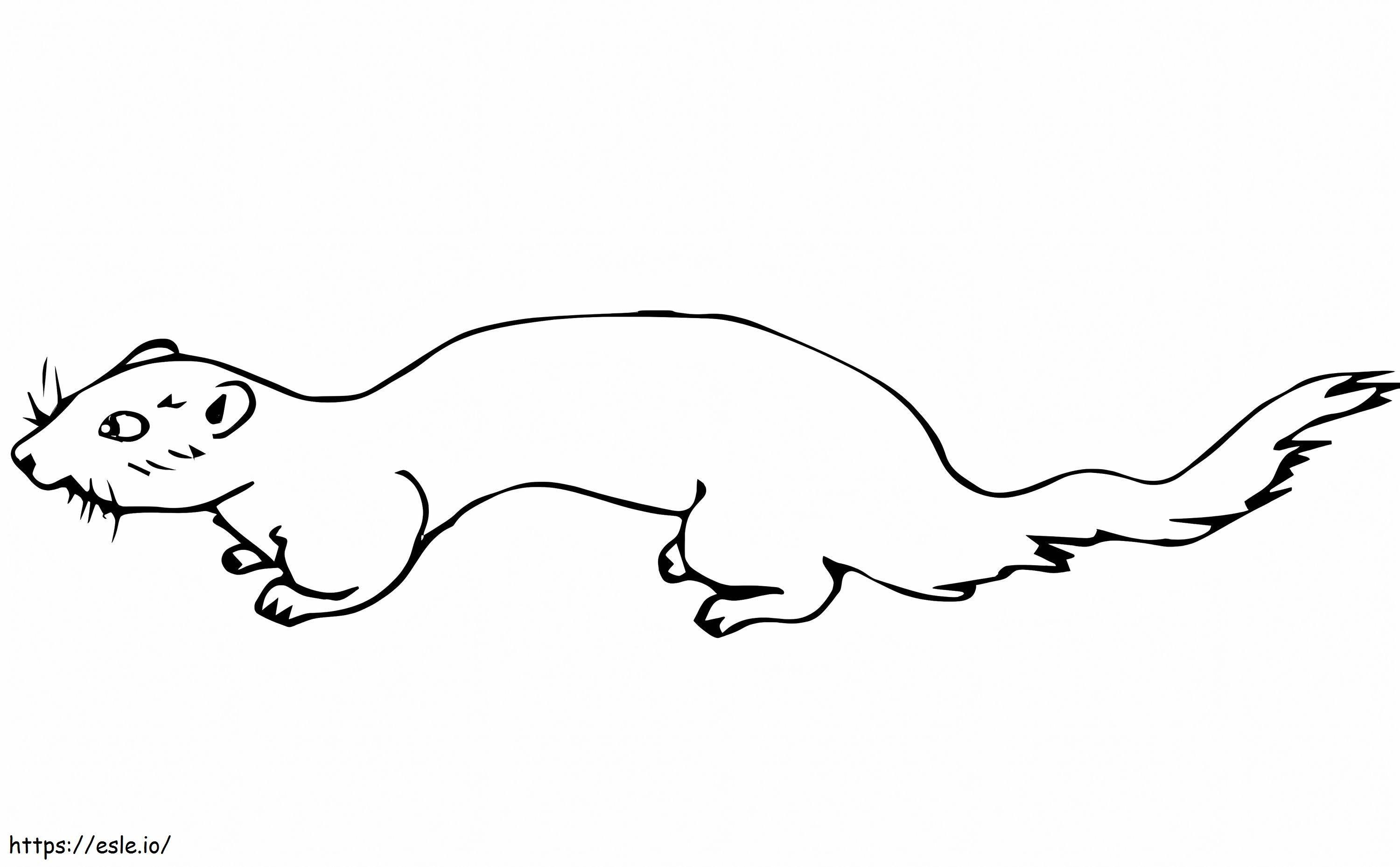 Simple Mink coloring page