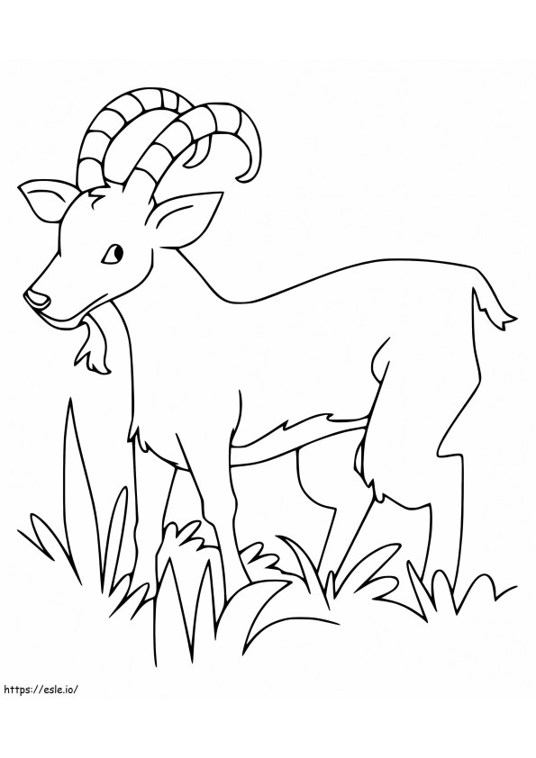 Funny Ibex coloring page