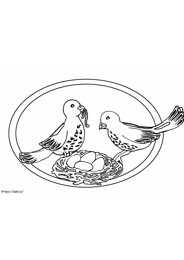 Pigeons On Their Nest coloring page