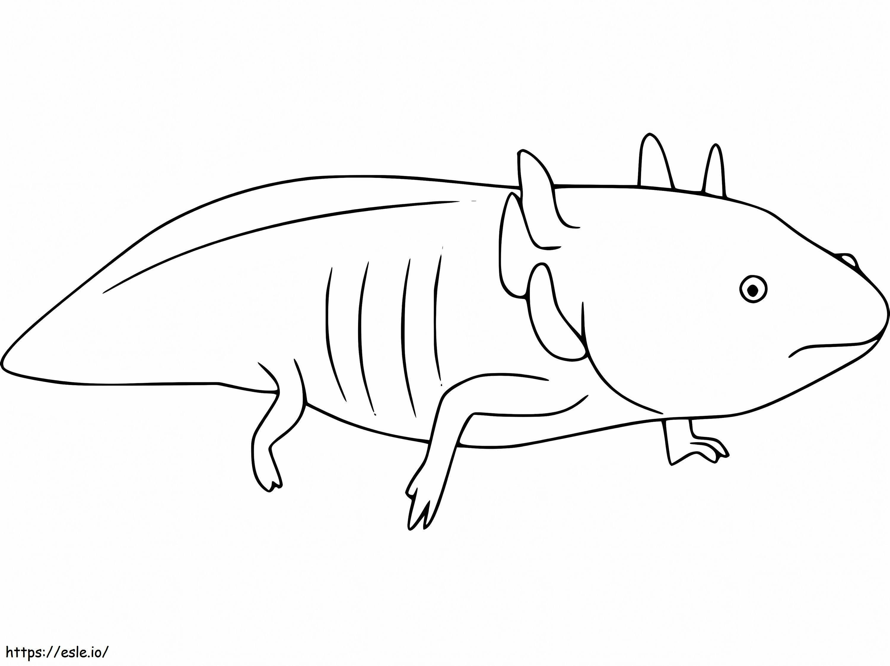 Printable Axolotl coloring page