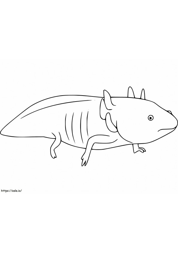 Printable Axolotl coloring page