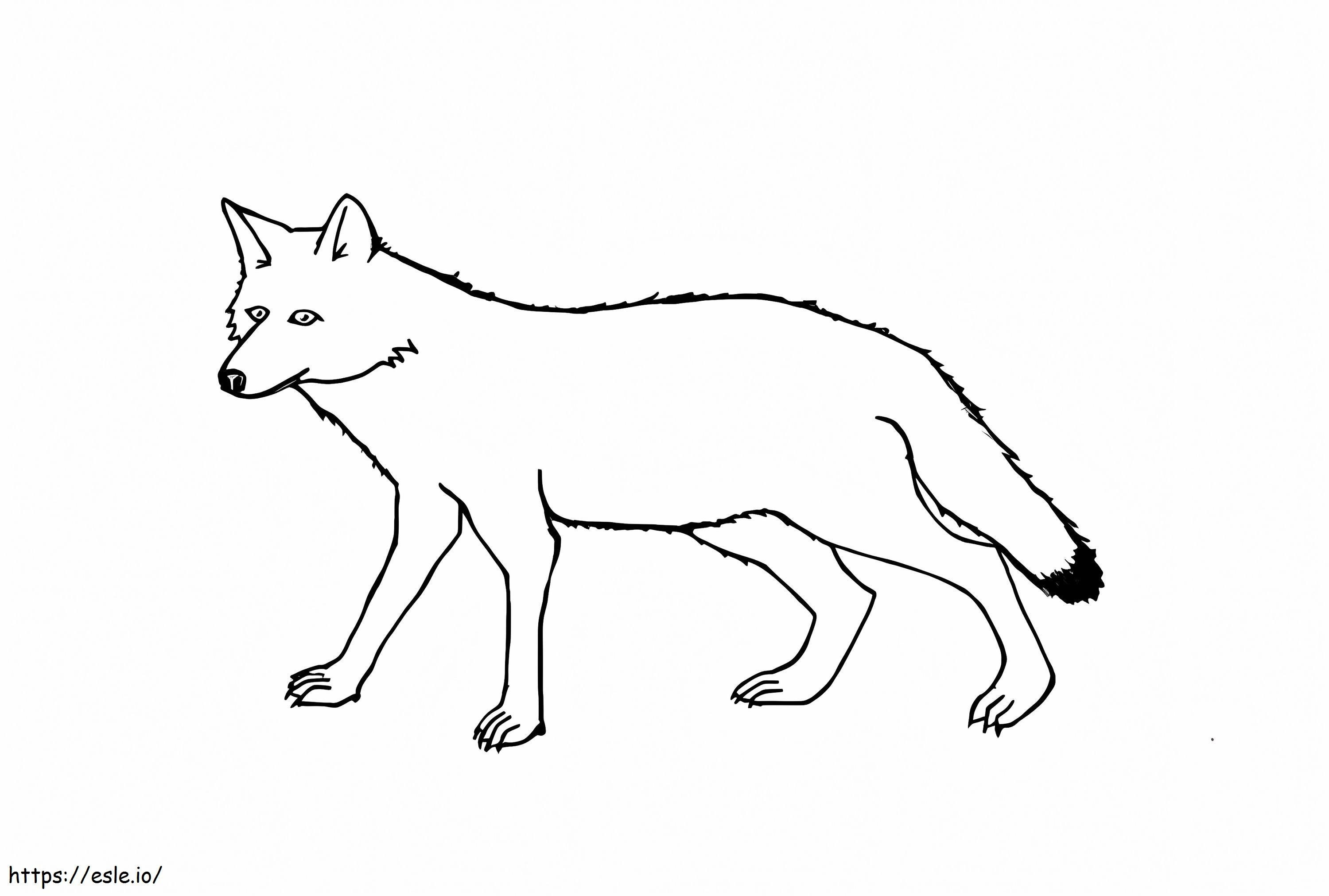 Coloriage Coyote 5 à imprimer dessin