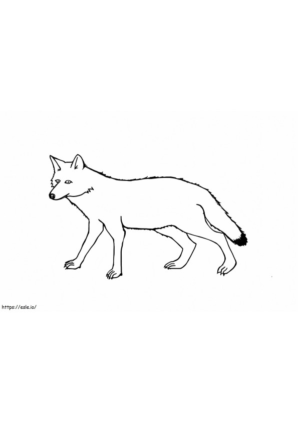Coyote 5 coloring page
